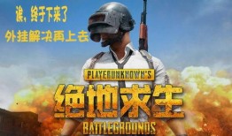 吃鸡大瓜爆料视频,视频爆料背后的惊人真相
