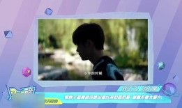 娱乐吃瓜酱井柏然,娱乐圈的吃瓜酱，揭秘明星背后的故事