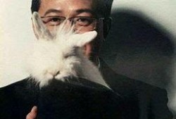 卓伟娱乐圈真实爆料