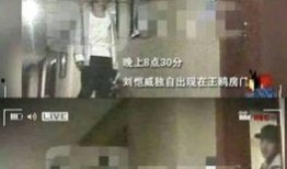 卓伟连续爆料事件视频全集,揭秘娱乐圈风云变幻背后的真相