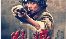 独狼电视剧全集在线观看,揭秘孤胆英雄的传奇人生