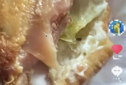 中国汉堡爆料视频,揭秘网红美食背后的真相