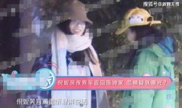 恋爱兄妹4结局爆料视频,结局揭秘，兄妹情谊能否跨越界限？