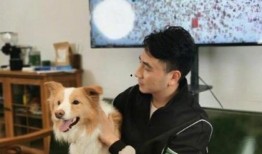 林生斌被爆料豪车视频,奢华生活引发热议