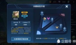 王者阿茶爆料视频,揭秘游戏幕后精彩瞬间
