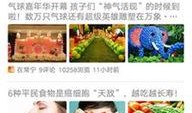 常宁新闻爆料网最新消息,最新动态速览，聚焦本地热点事件