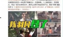 水门第二波爆料视频大全,揭秘视频大全背后的惊人真相