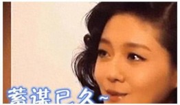东北娱乐圈爆料事件真相,揭开娱乐圈背后的神秘面纱