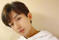 成毅袁冰妍最新爆料知乎,揭秘幕后故事与情感纠葛