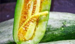 在哪吃网红瓜好吃呢,网红瓜的绝妙食府推荐