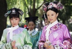 模拟甄嬛传娱乐圈爆料,甄嬛传幕后秘闻大揭秘