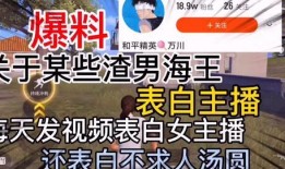 爆料渣男视频下载网站在线观看,在线观看爆料网站大揭秘