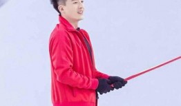 孙艺洲最新爆料,揭秘演艺圈幕后真相与个人心路历程