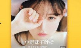 直播最新爆料视频下载安装,最新爆料视频下载安装全攻略