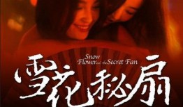 雪花秘扇在线观看,揭秘神秘扇面背后的奇幻世界