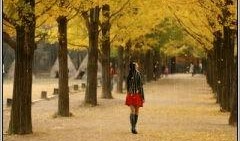 秋天2008在线观看,2008年秋天在线观影之旅