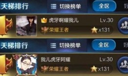 王者阿茶爆料视频,揭秘游戏幕后精彩瞬间