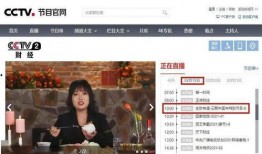 央视2套直播在线观看