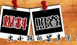 重庆新闻爆料网址,聚焦城市动态，揭秘社会热点