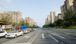 第五大道爆料最新消息是什么,最新消息揭秘！”