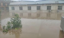 涿州洪水最新爆料,救援行动紧张进行，受灾情况持续更新