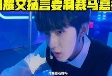 美媒爆料刘耀文视频,美媒揭秘娱乐圈风波背后