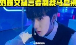 美媒爆料刘耀文视频,美媒揭秘娱乐圈风波背后