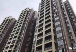 第五大道爆料最新消息是什么,最新消息揭秘！”