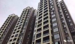 第五大道爆料最新消息是什么,最新消息揭秘！”