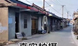 涿州洪水最新爆料,救援行动紧张进行，受灾情况持续更新