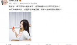 潮汕阿香爆料事件视频大全,揭秘背后真相与争议