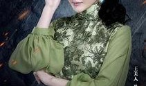 老九门电视剧在线观看,探秘民国奇案，揭秘神秘家族传奇