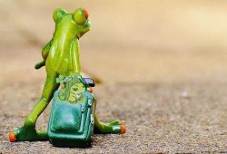 网红青蛙站着吃瓜,站姿吃瓜，萌态十足引网友热议