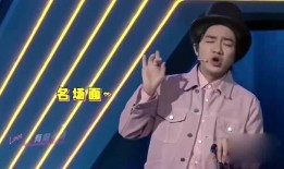 王祖蓝爆料张学友视频在线观看,独家视频带你领略歌神风采