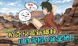 11月高招最新爆料消息,揭秘热门专业录取趋势与政策变动”
