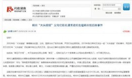 湖南郴州爆料新闻事件视频,揭秘背后真相与争议