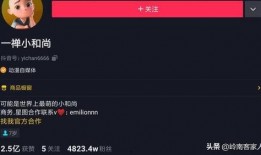 抖音吃瓜网红妈妈微博号,育儿心得与娱乐圈幕后故事”