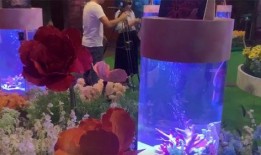 海洋水族馆爆料视频,探秘海底生物的神秘世界