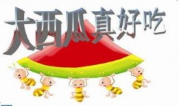 瓜瓜吃瓜ppt免费下载,揭秘热门话题背后的真相