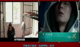社会与法全集在线观看,深度解析法律与社会现象的视听盛宴