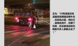 网友爆料汽车视频大全,汽车视频大全，尽览车界风采瞬间