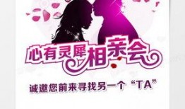 相亲爆料视频素材大全,揭秘视频素材大全中的甜蜜与尴尬瞬间