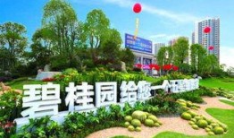 长垣碧桂园爆料最新消息,揭秘项目进展与未来规划