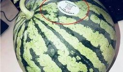 莱阳网红吃瓜,揭秘网络红人的幕后真相