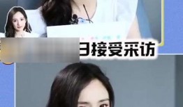 娱乐圈吃瓜女王全文,揭秘明星幕后真相