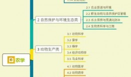 兰州啤酒爆料视频大全集,揭秘啤酒背后的故事与传奇